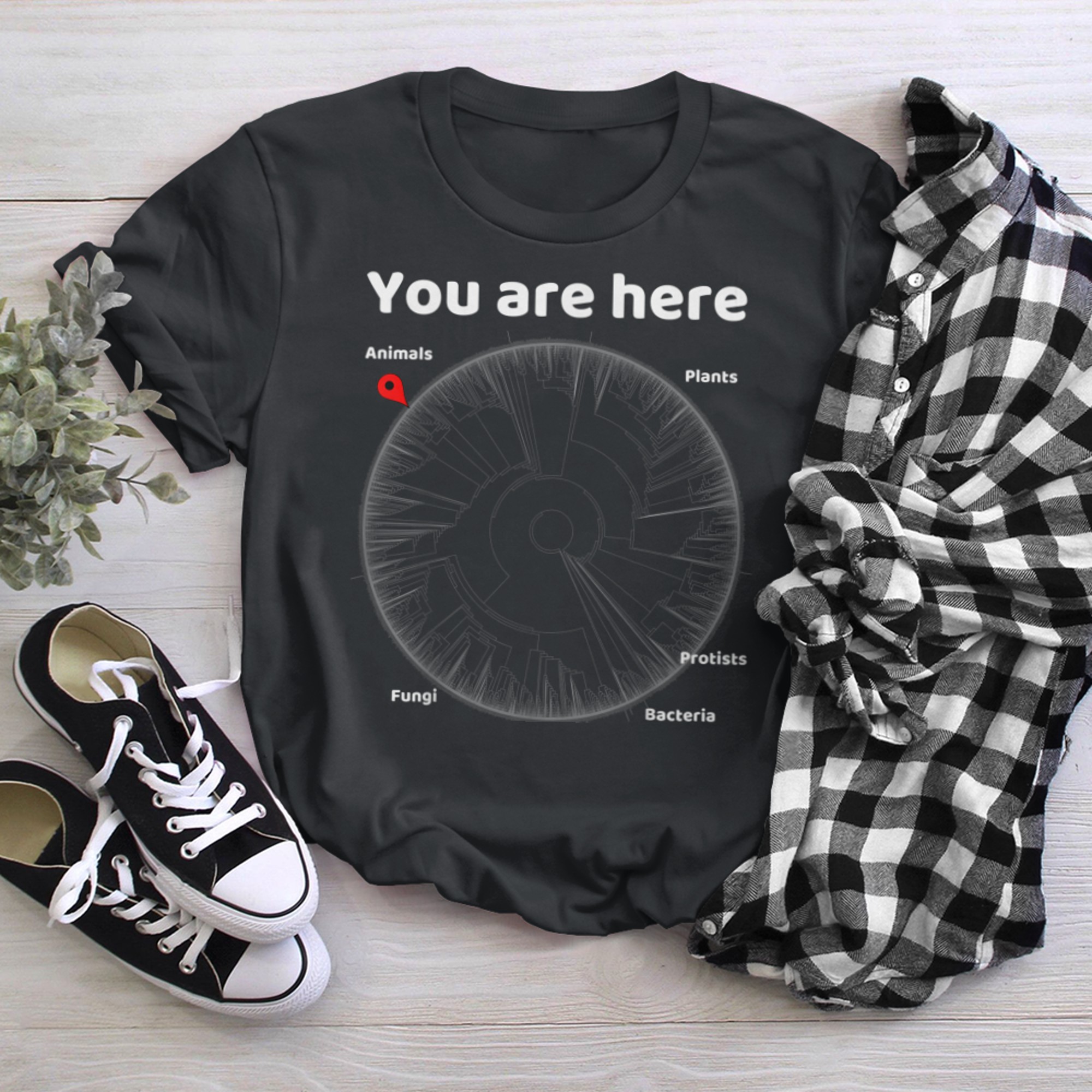 Nerdy You Are Here Tree of Life Evolution Biology Teacher t-shirt black