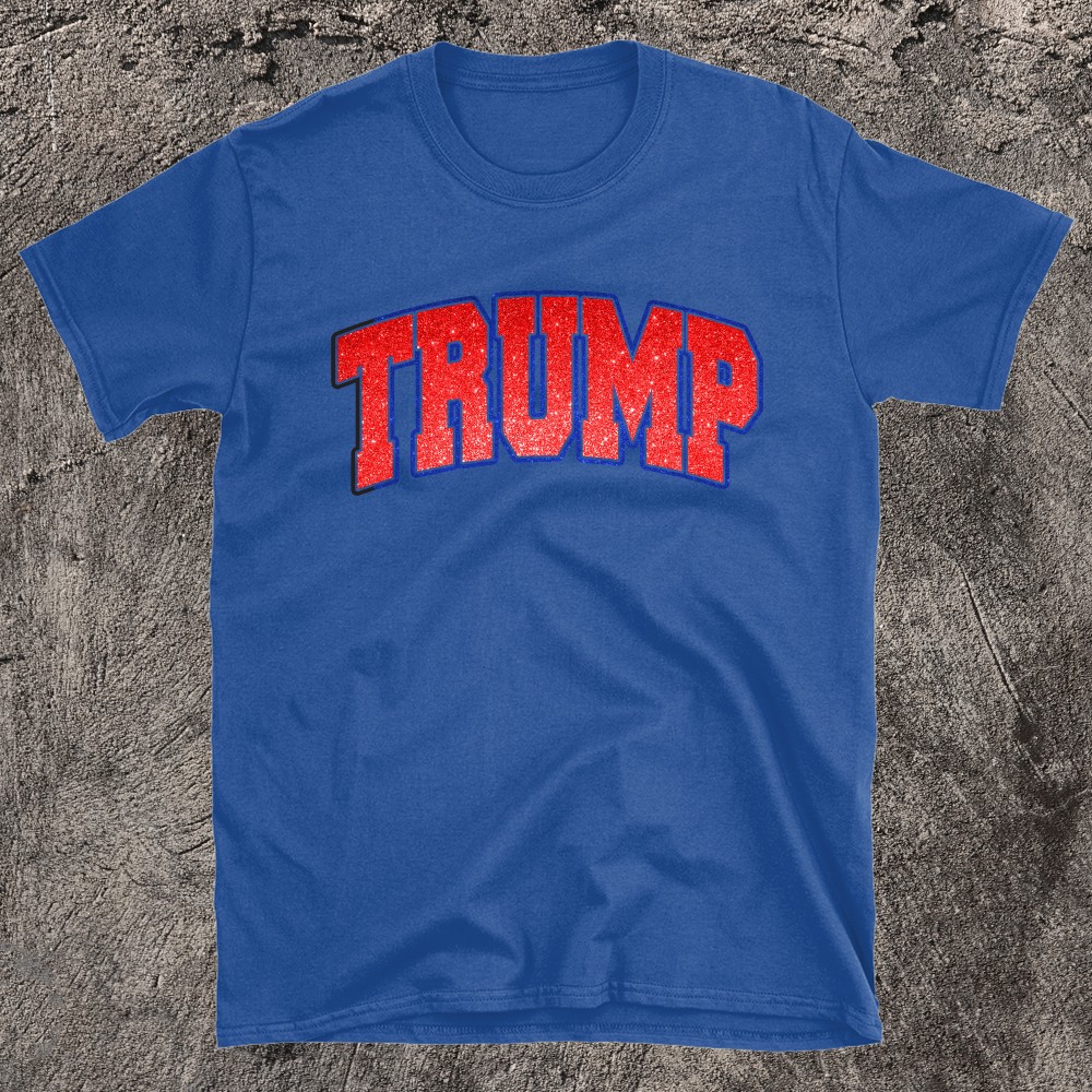 Trump sweatshirt, Donald Trump Fan Tees, Pro America T-Shirt