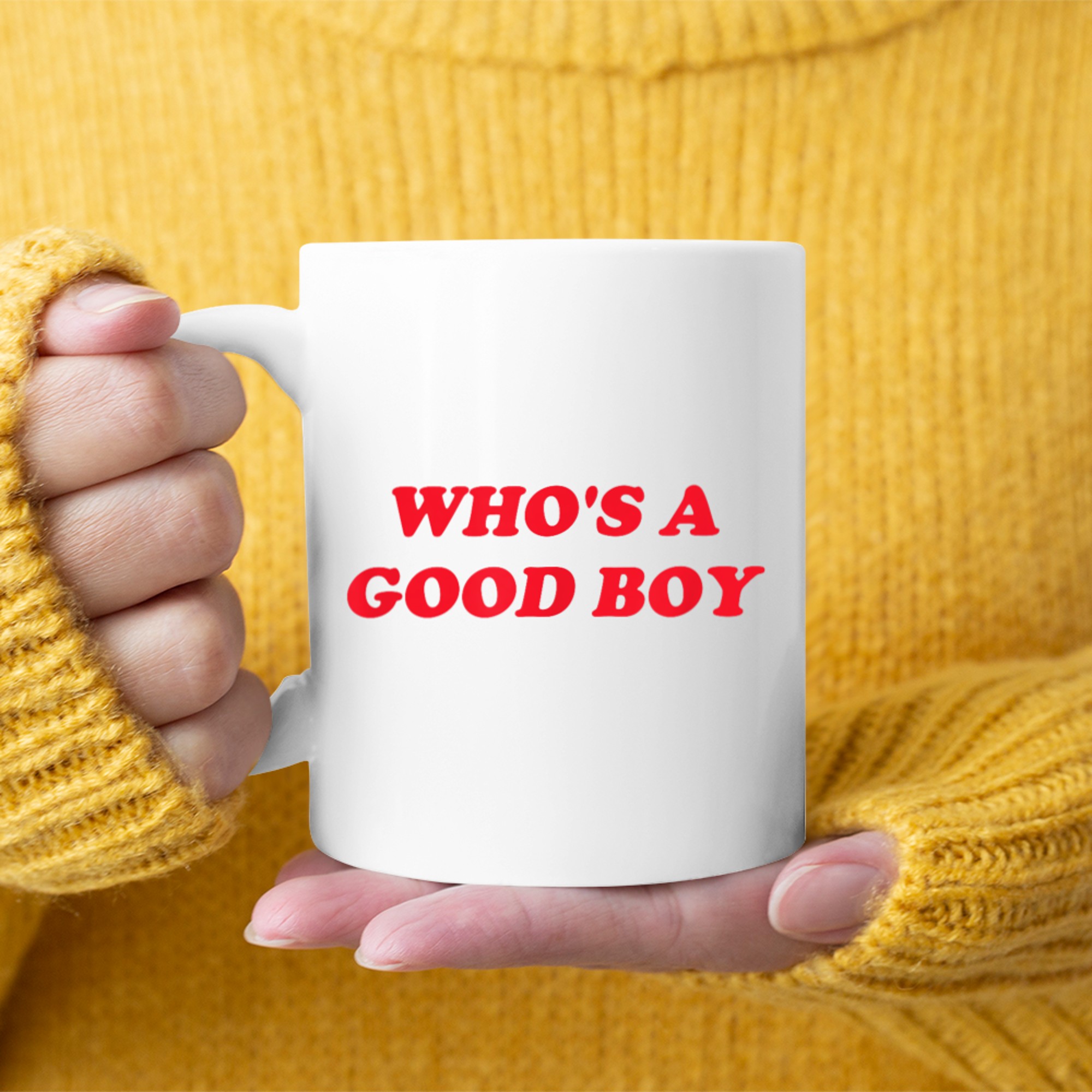 Who's A Good Boy Funny Retro Y2K Mug