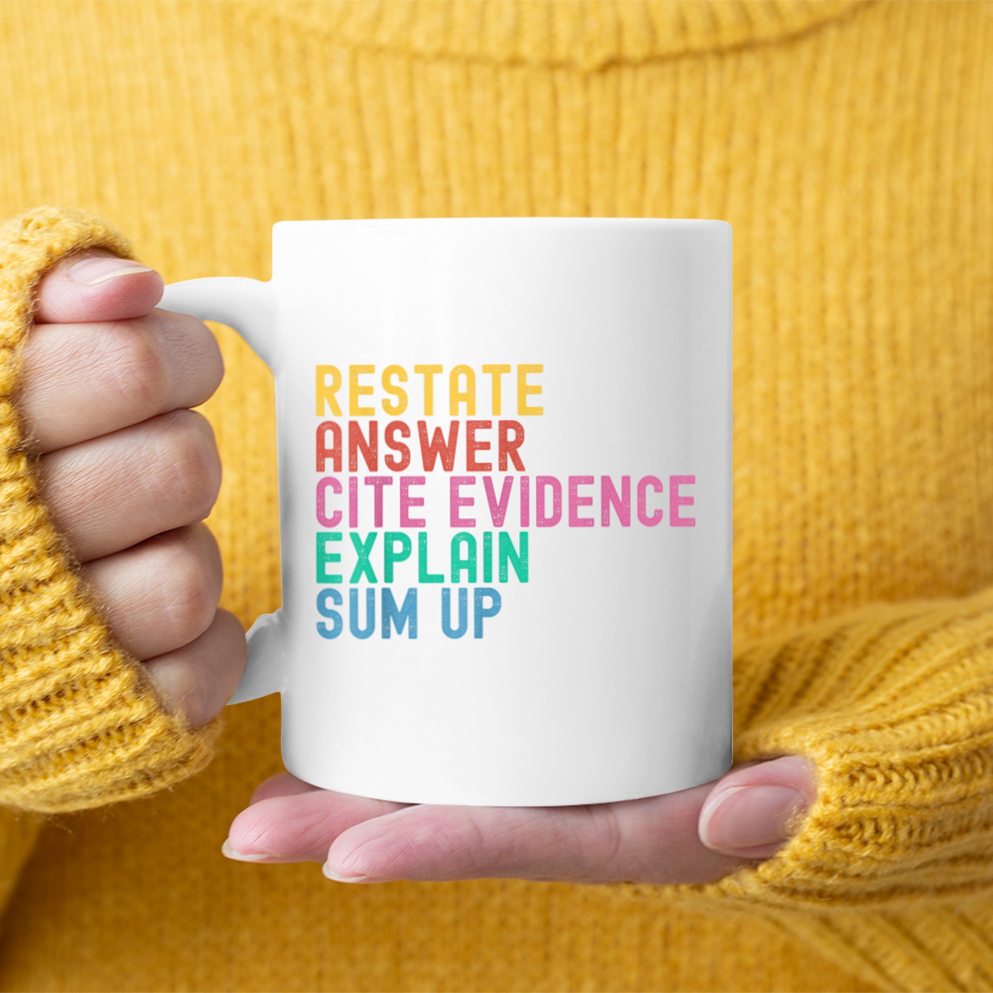 Races Writing Strategy Funny Text Evidence English Teacher Mug