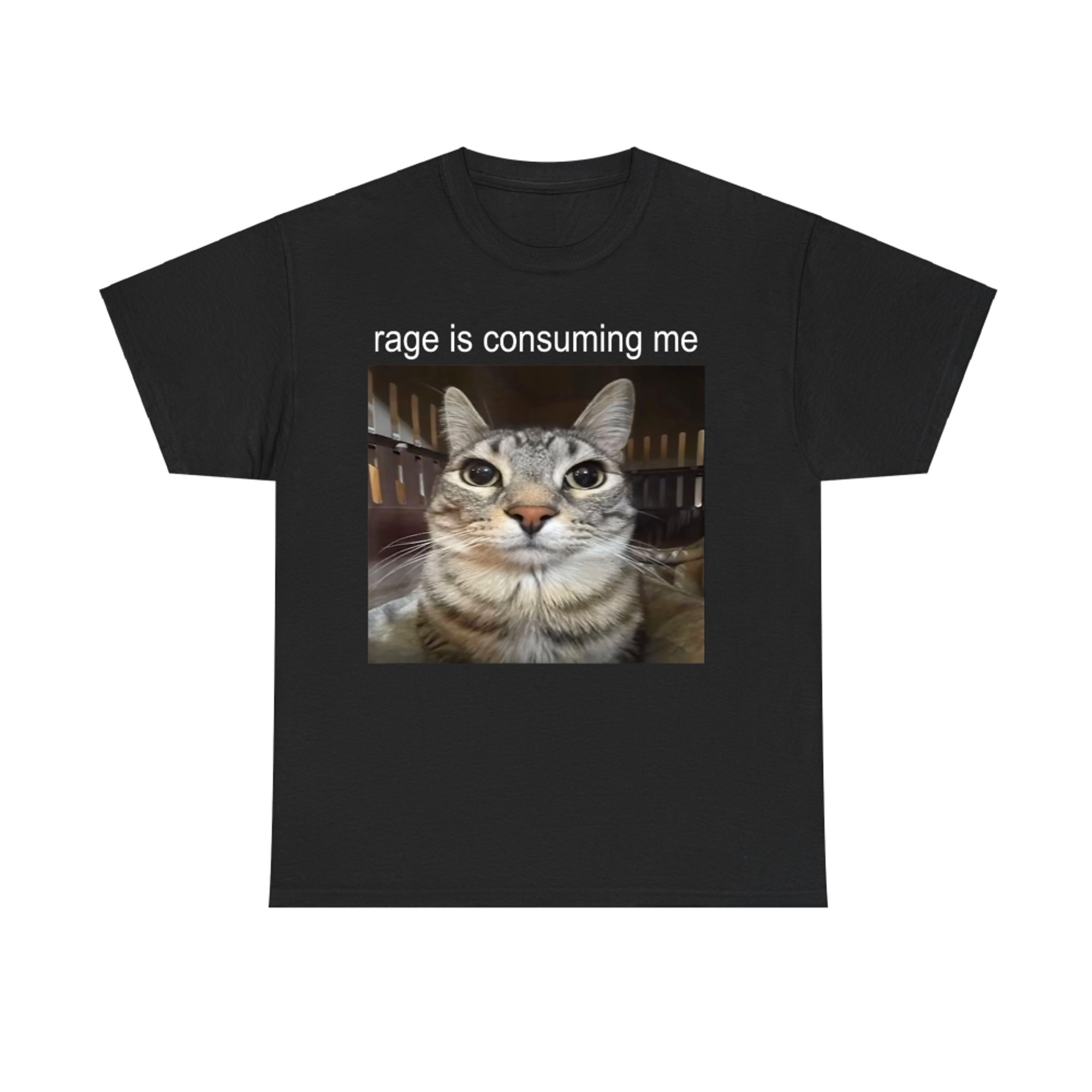 Rage Is Consuming Me Silly Staring Cat Meme T-Shirt