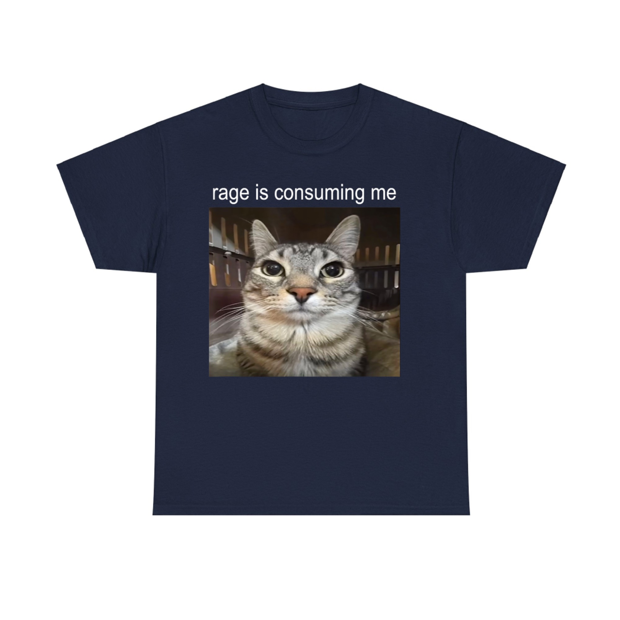 Rage Is Consuming Me Silly Staring Cat Meme T-Shirt