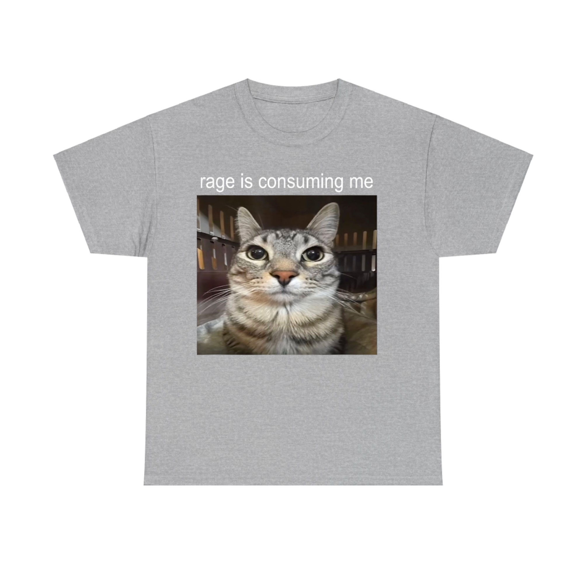 Rage Is Consuming Me Silly Staring Cat Meme T-Shirt