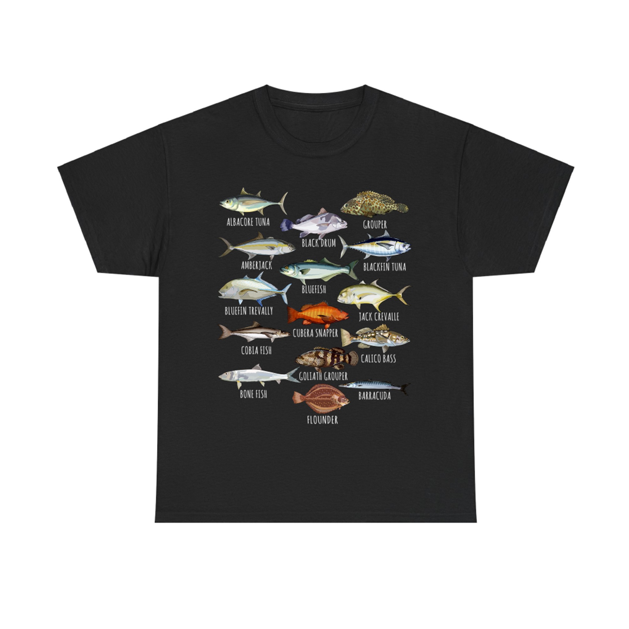 Fish Species Biology Types of Saltwater Fish Fishing