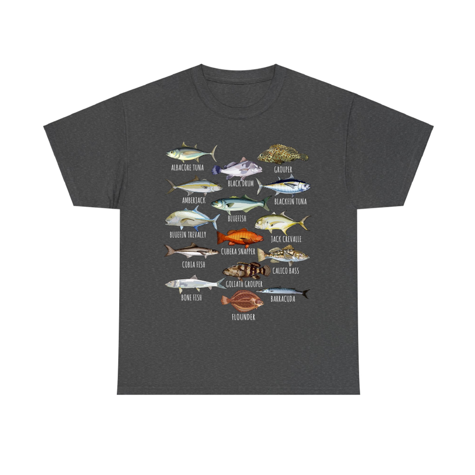 Fish Species Biology Types of Saltwater Fish Fishing
