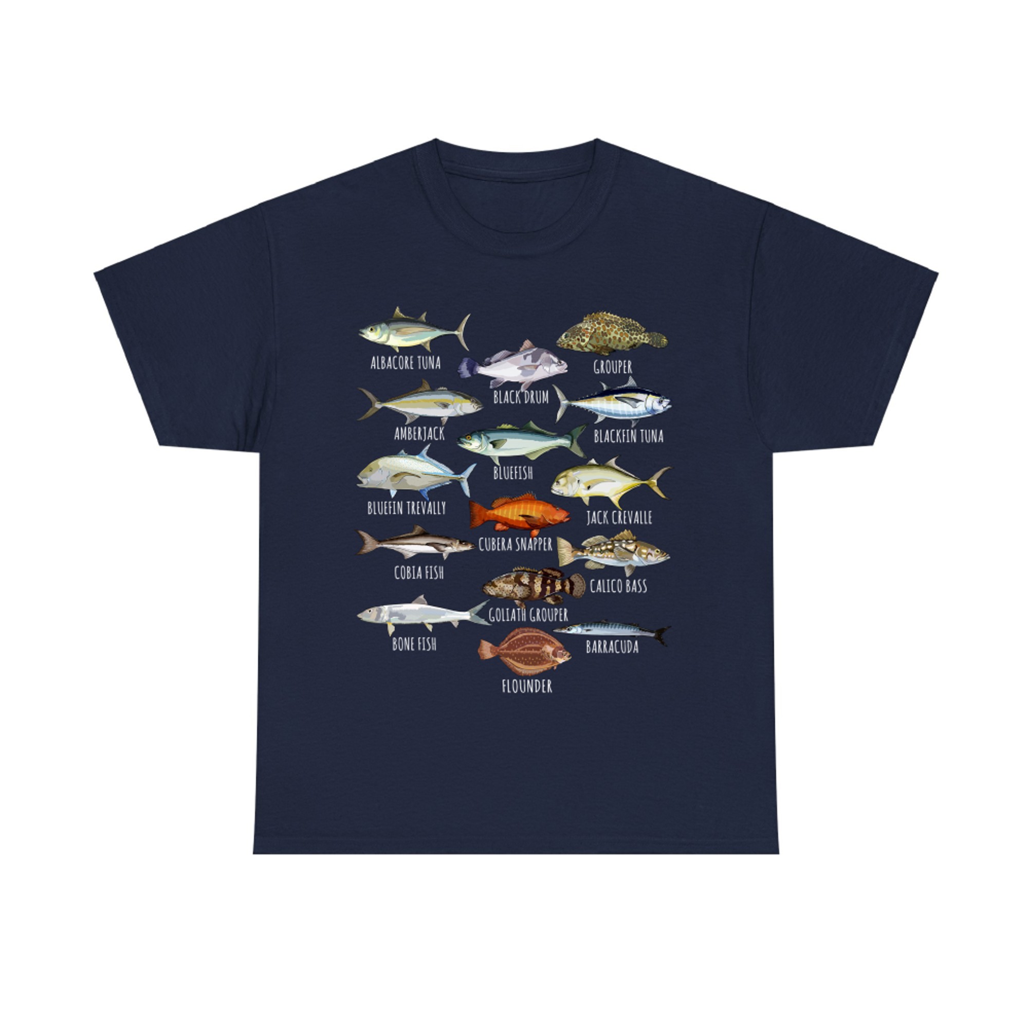 Fish Species Biology Types of Saltwater Fish Fishing