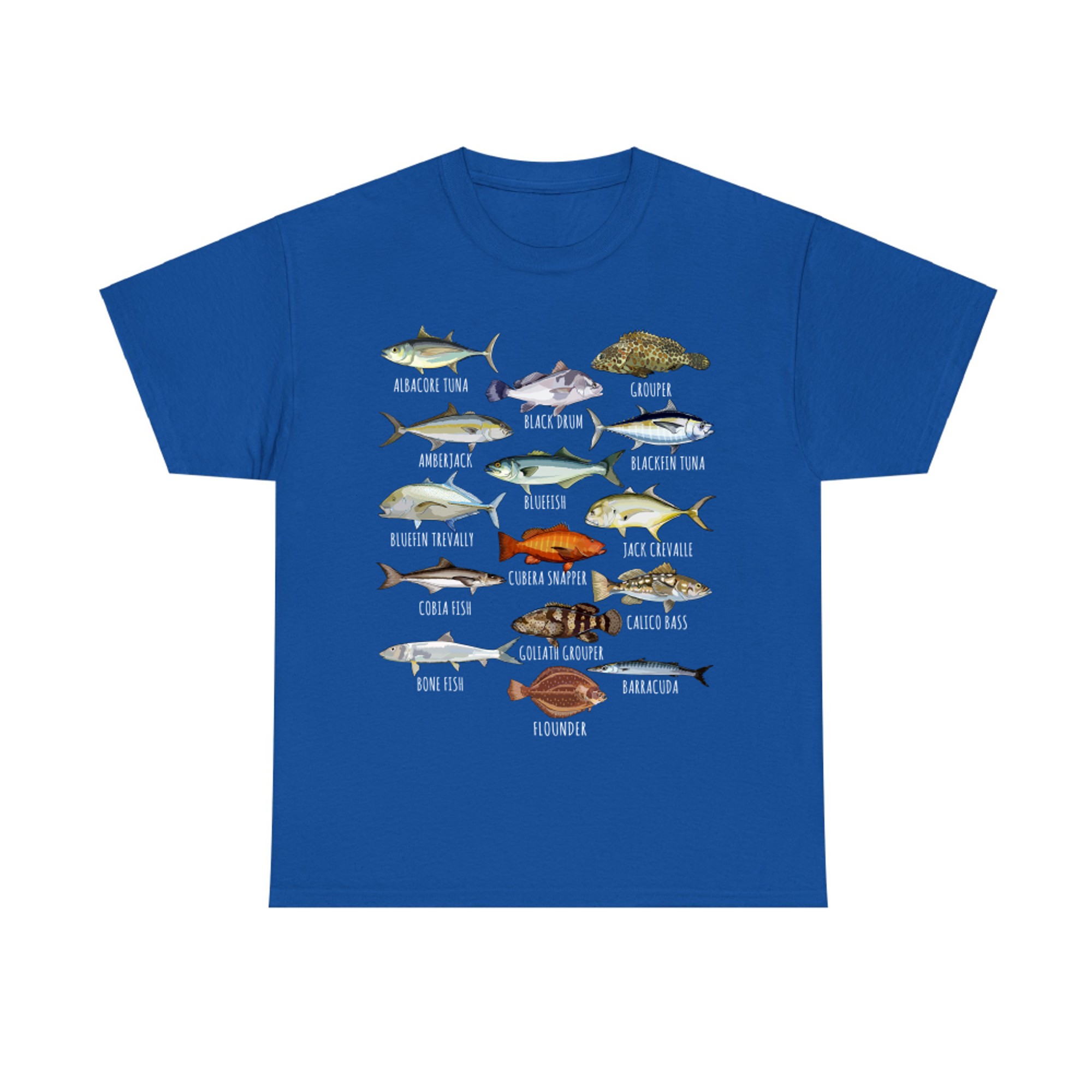 Fish Species Biology Types of Saltwater Fish Fishing
