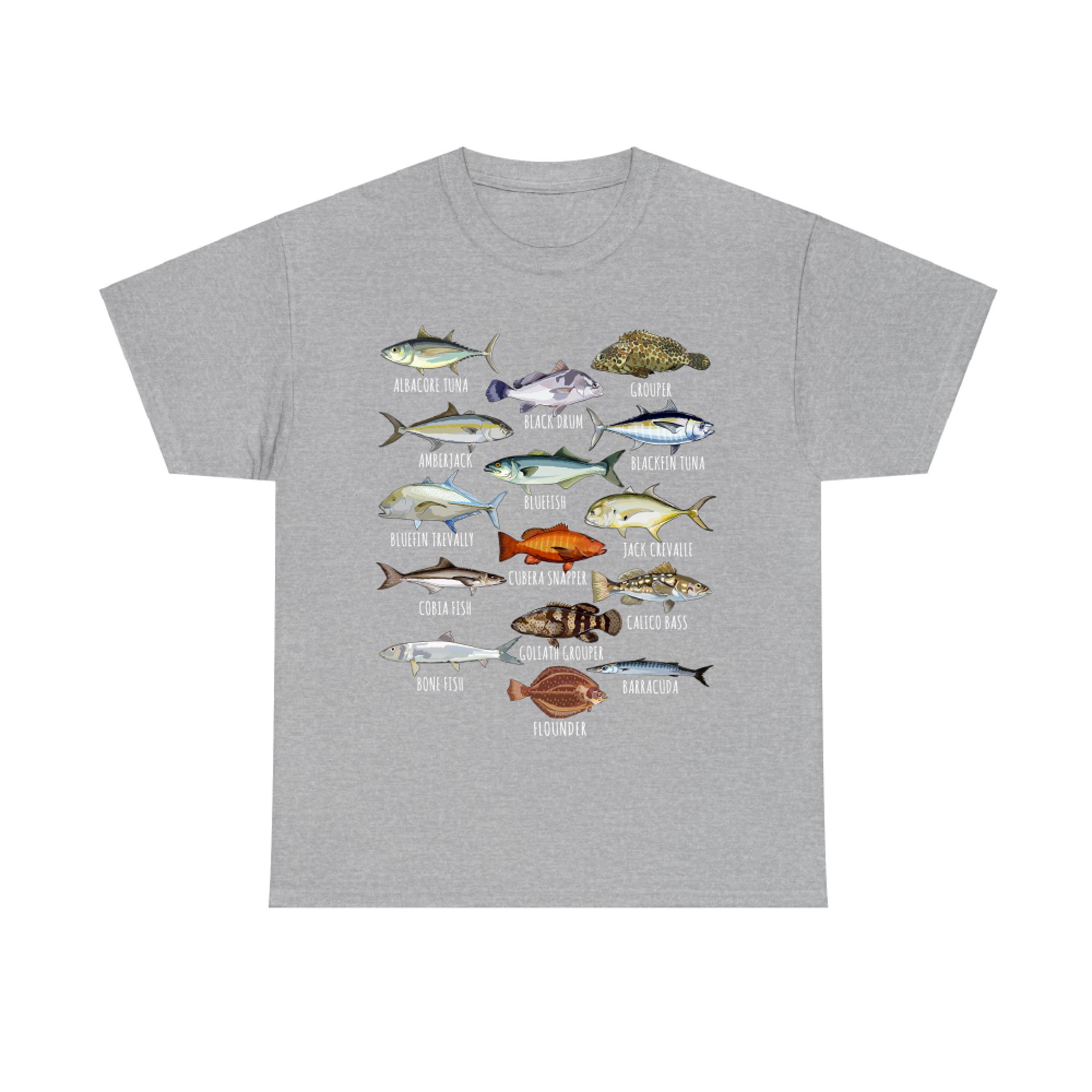 Fish Species Biology Types of Saltwater Fish Fishing