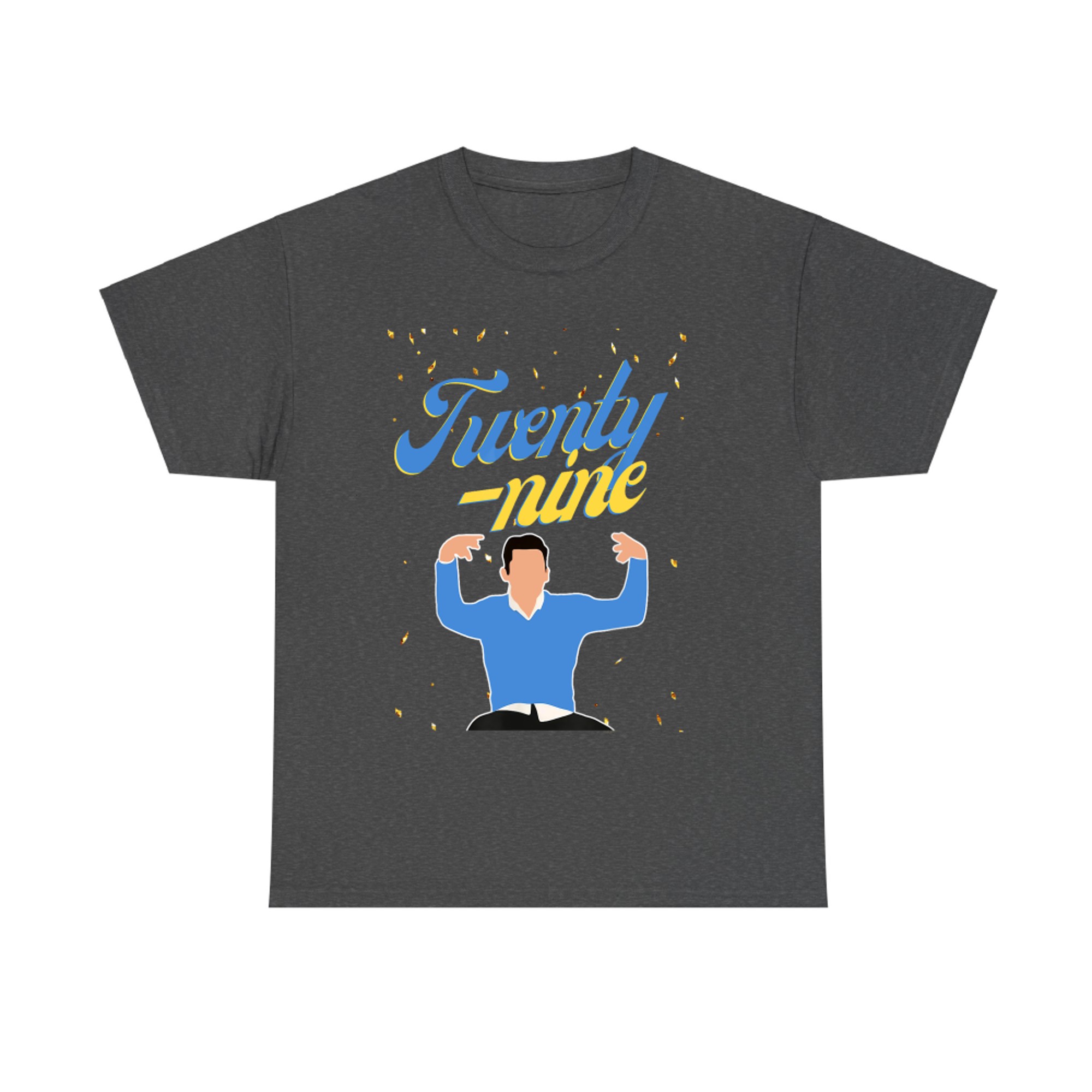 Twenty-Nine Birthday Design Funny Minimal Graphic 29th Celebration T-Shirt