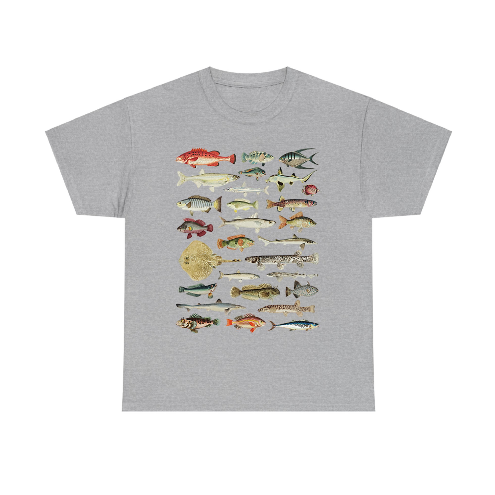 Types of Fish Chart Vintage Fishing