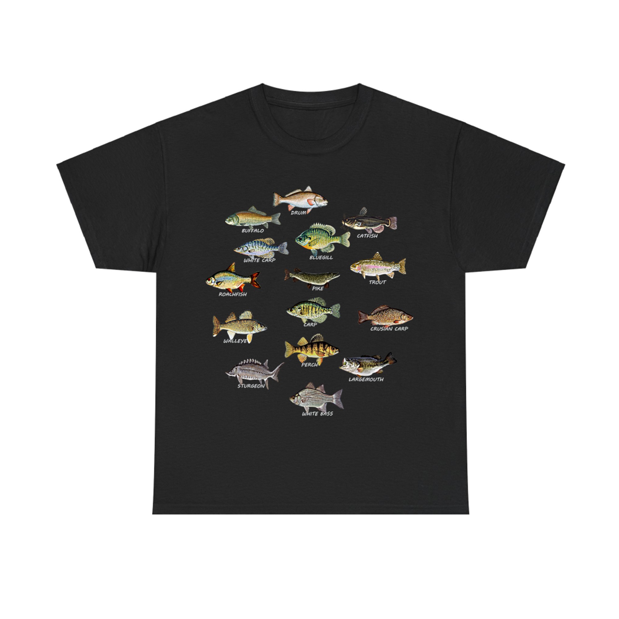 Types of Freshwater Fish Species Fishing