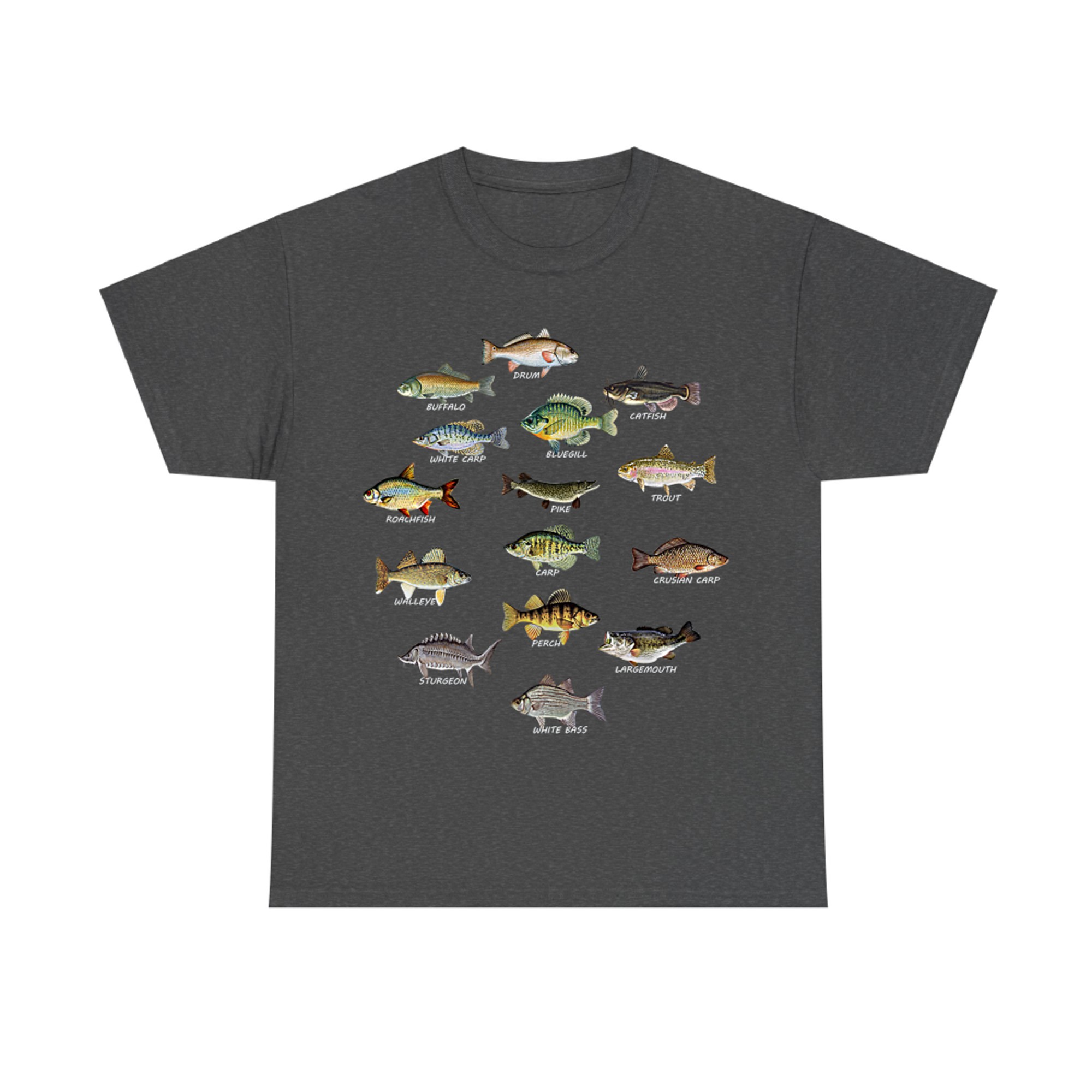 Types of Freshwater Fish Species Fishing