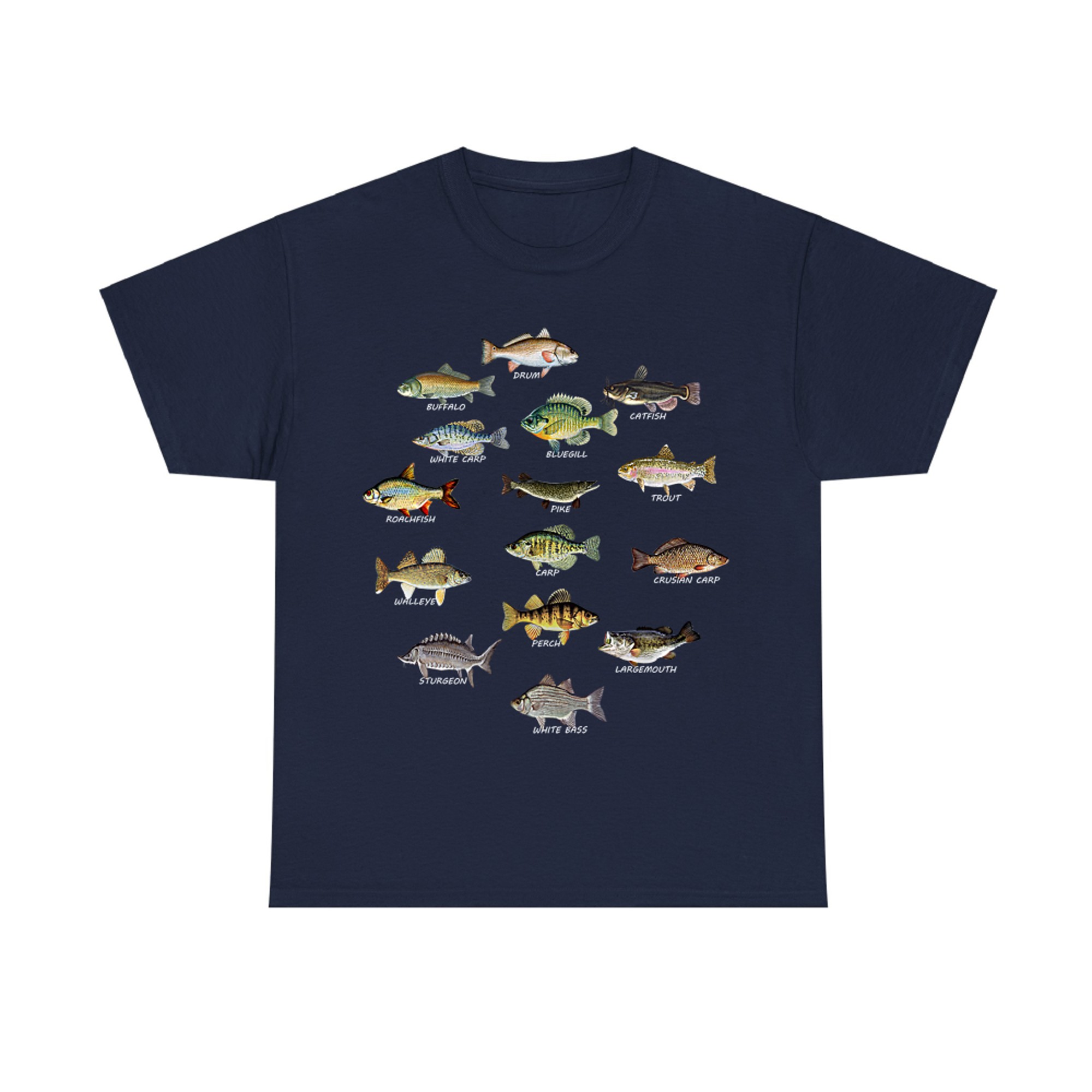 Types of Freshwater Fish Species Fishing