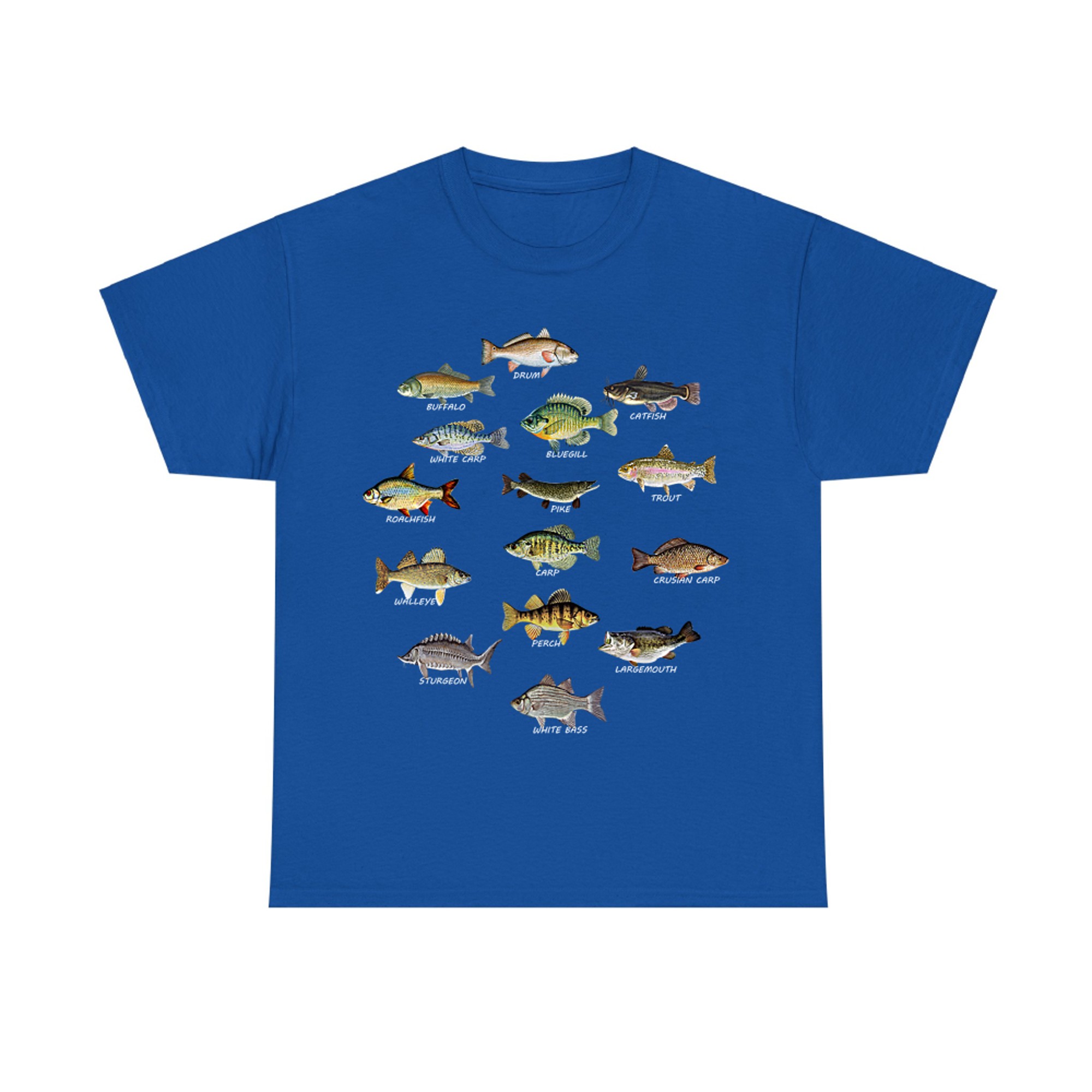 Types of Freshwater Fish Species Fishing