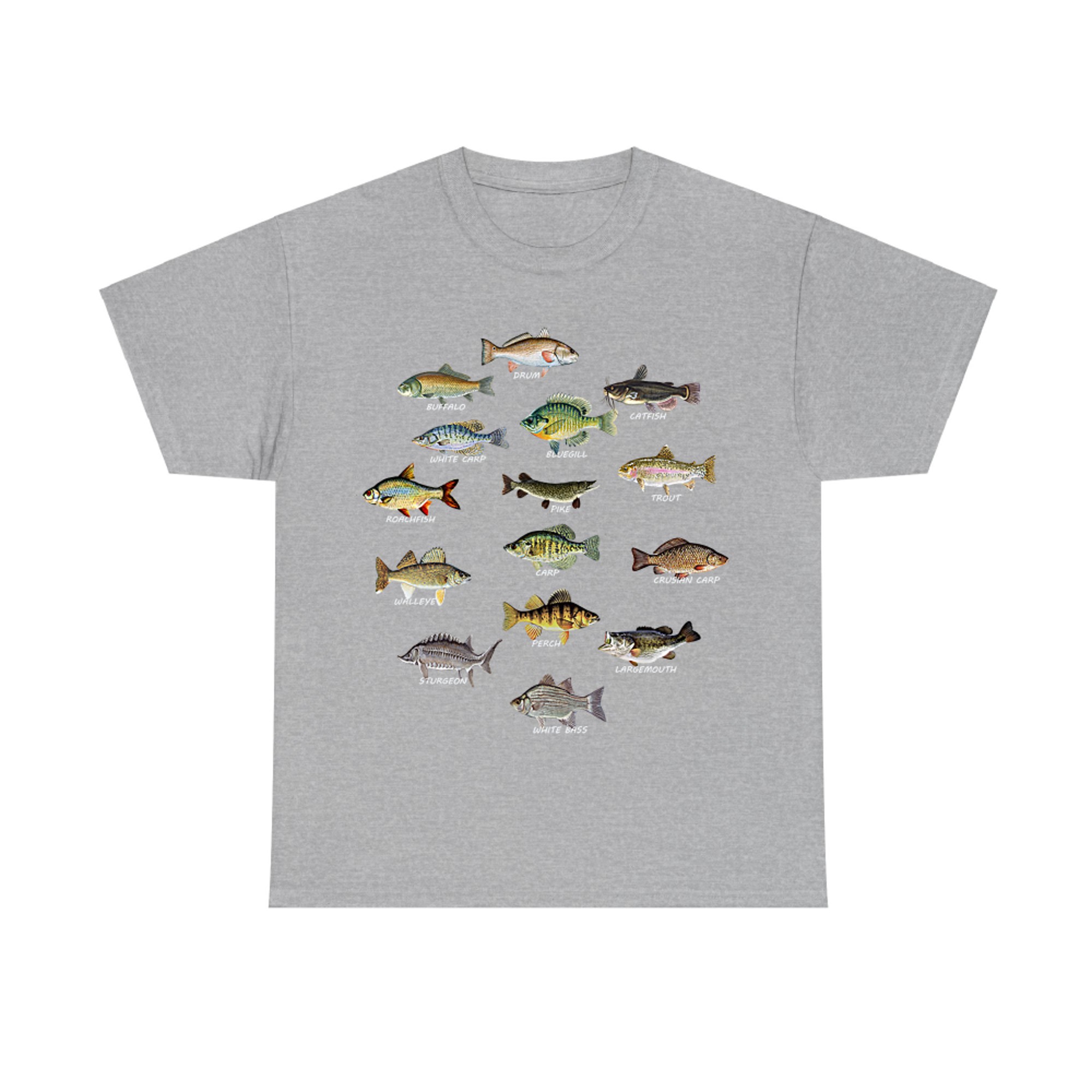 Types of Freshwater Fish Species Fishing