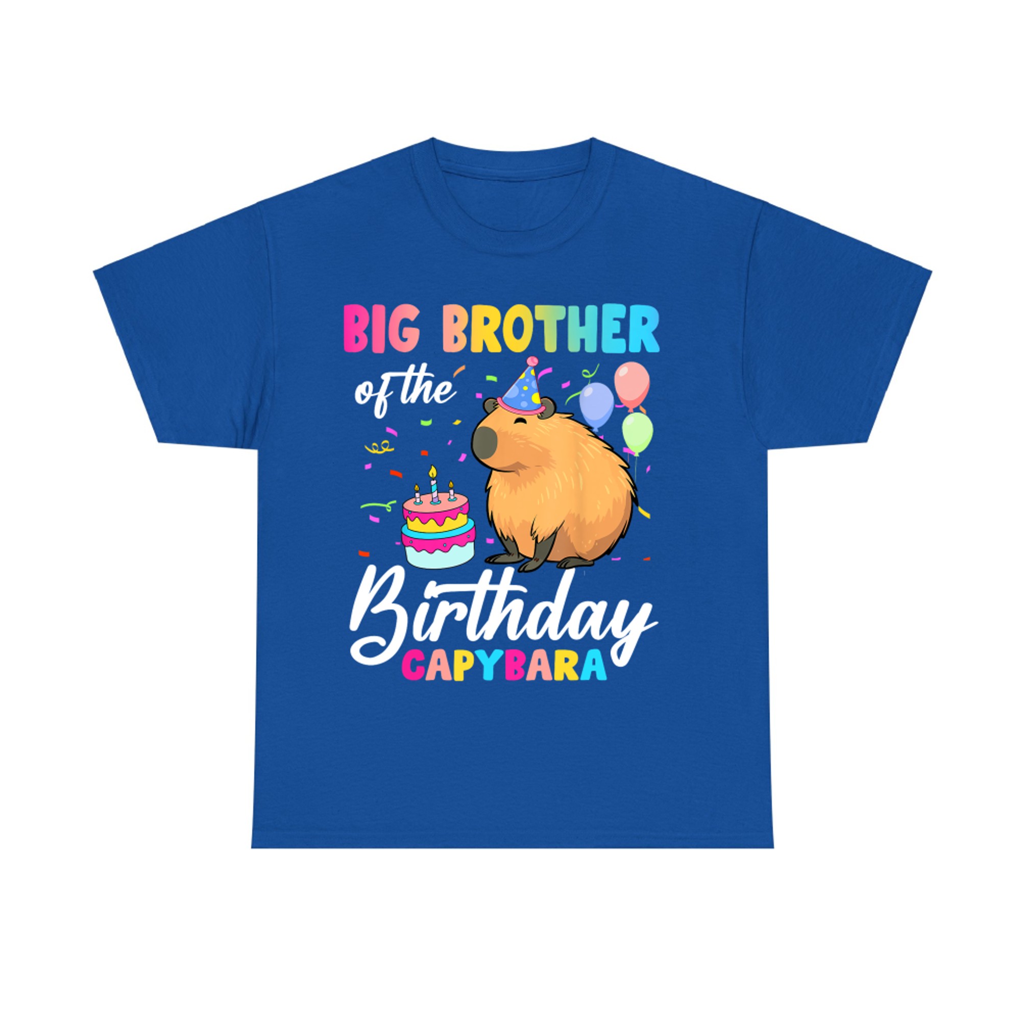 Big Brother Of The Birthday Capybara Girl Bday Party Family T-Shirt