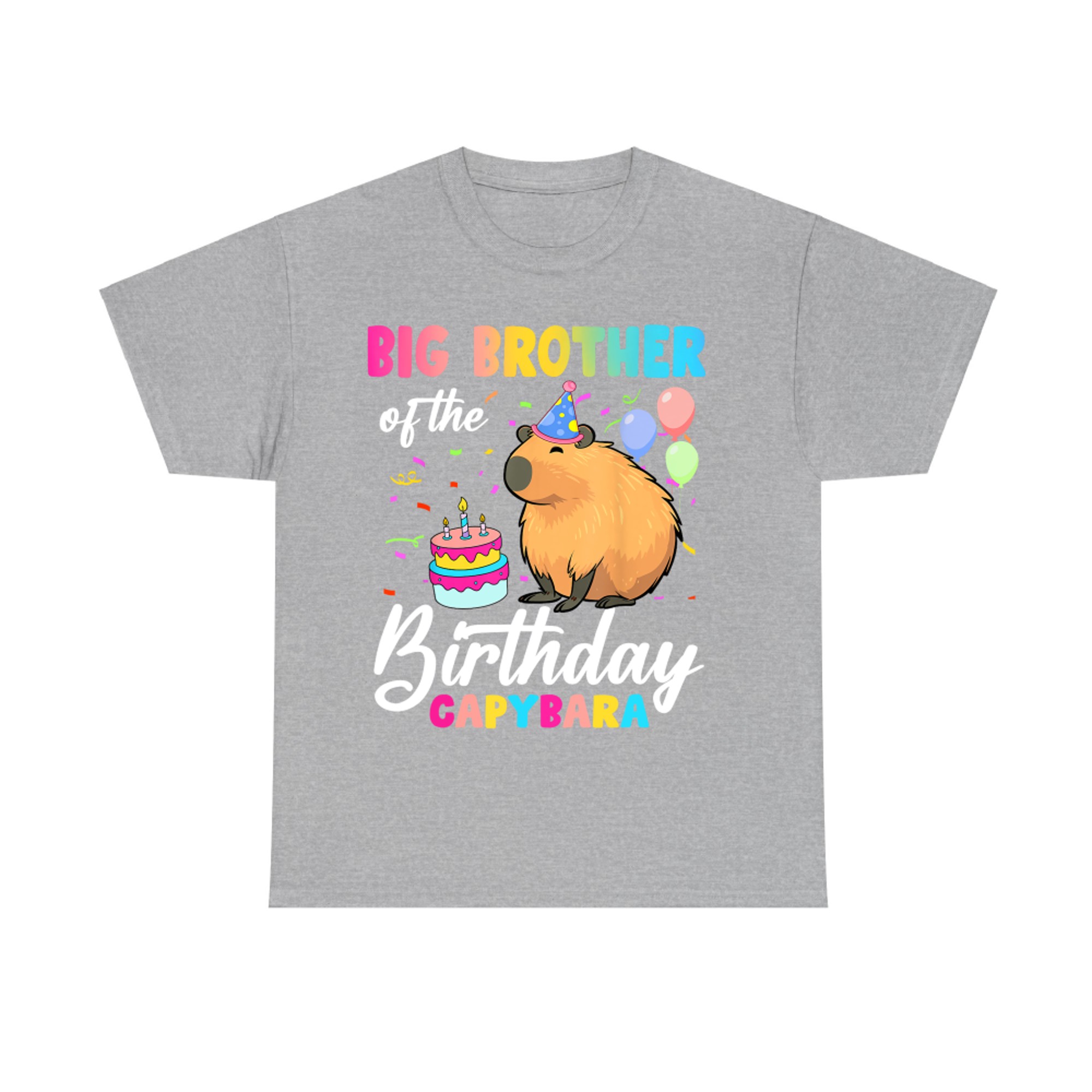 Big Brother Of The Birthday Capybara Girl Bday Party Family T-Shirt