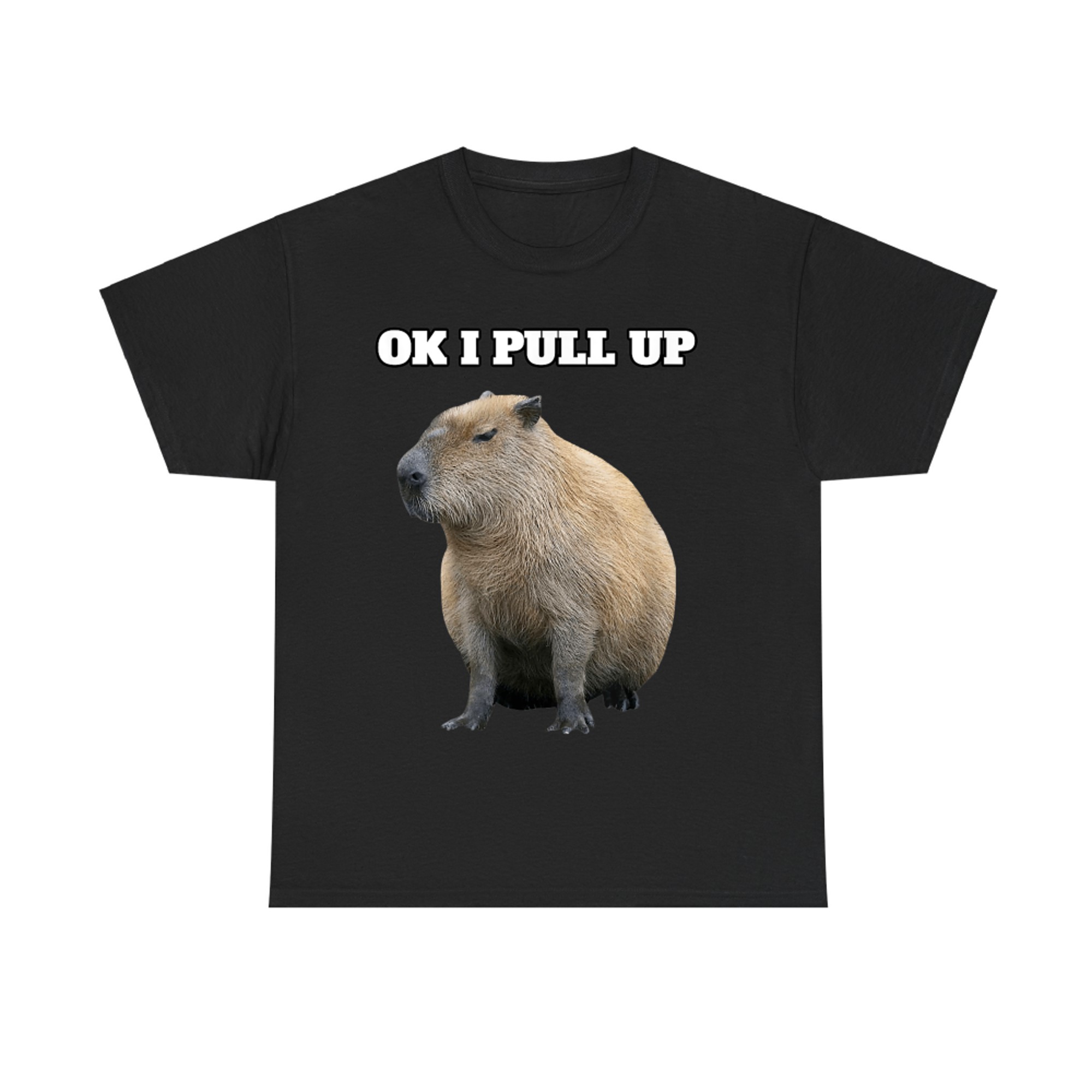 Ok I Pull Up Funny Capybara T-Shirt