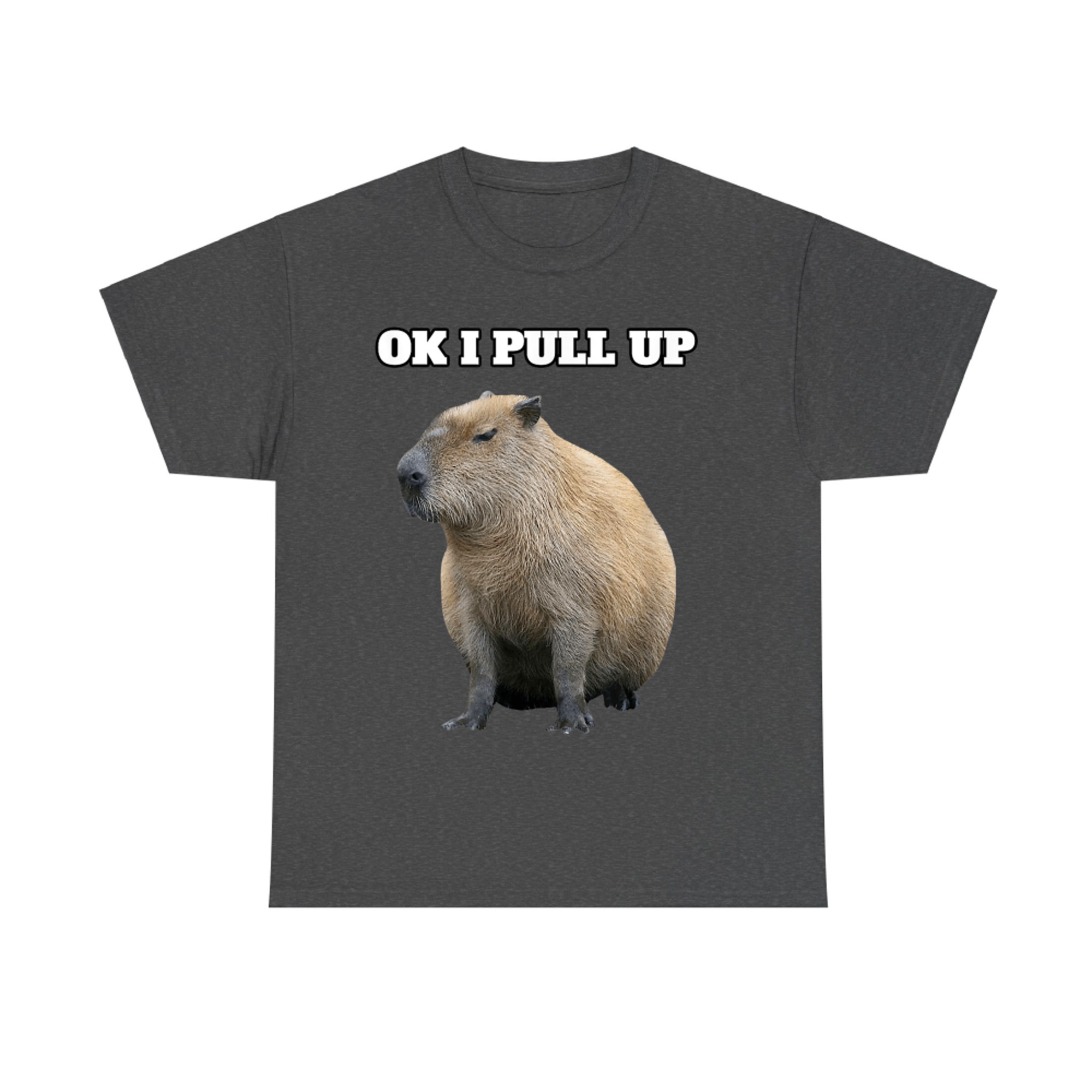 Ok I Pull Up Funny Capybara T-Shirt