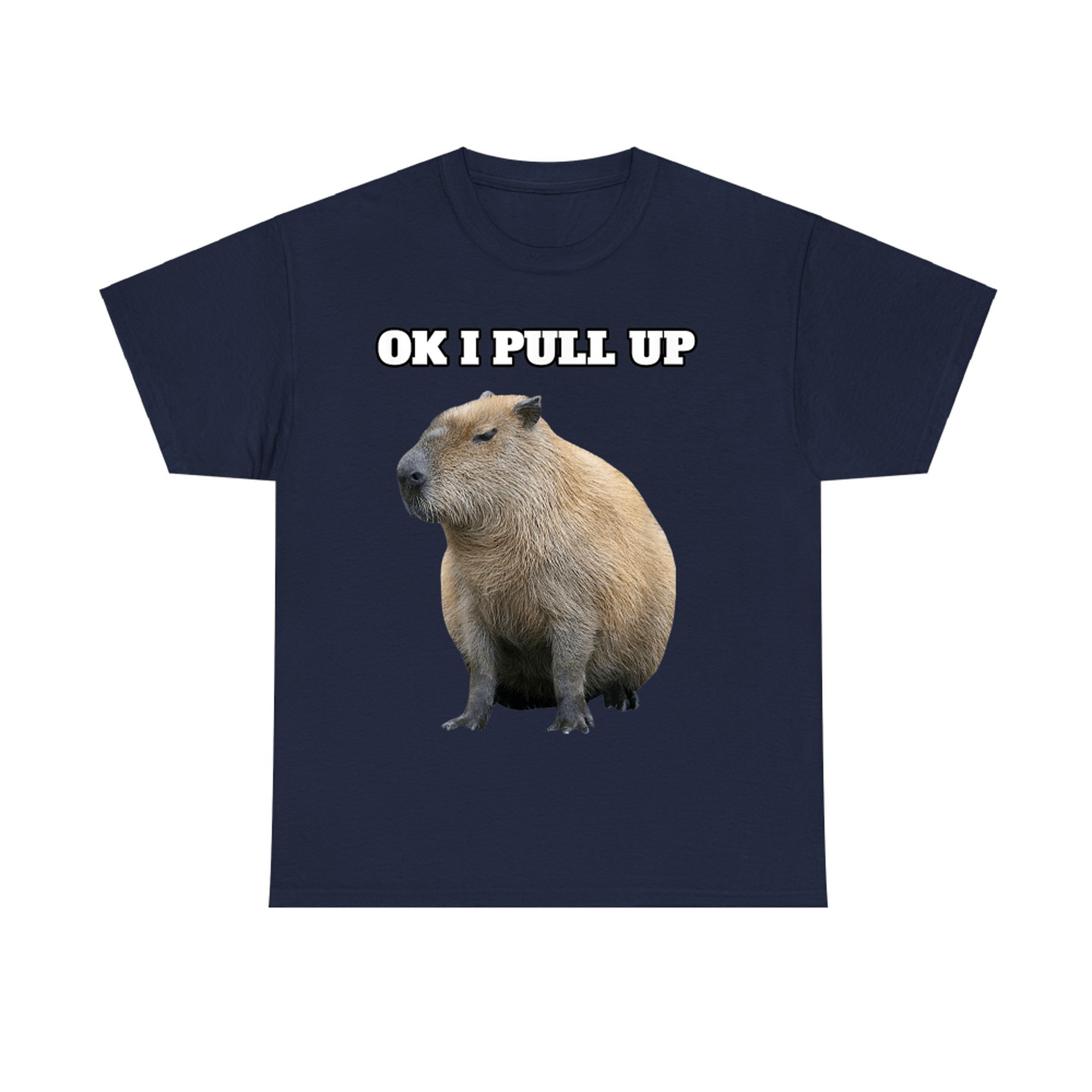 Ok I Pull Up Funny Capybara T-Shirt