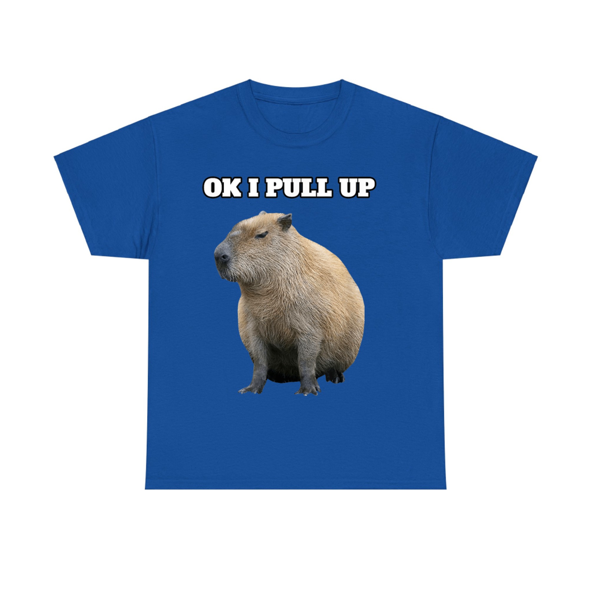 Ok I Pull Up Funny Capybara T-Shirt
