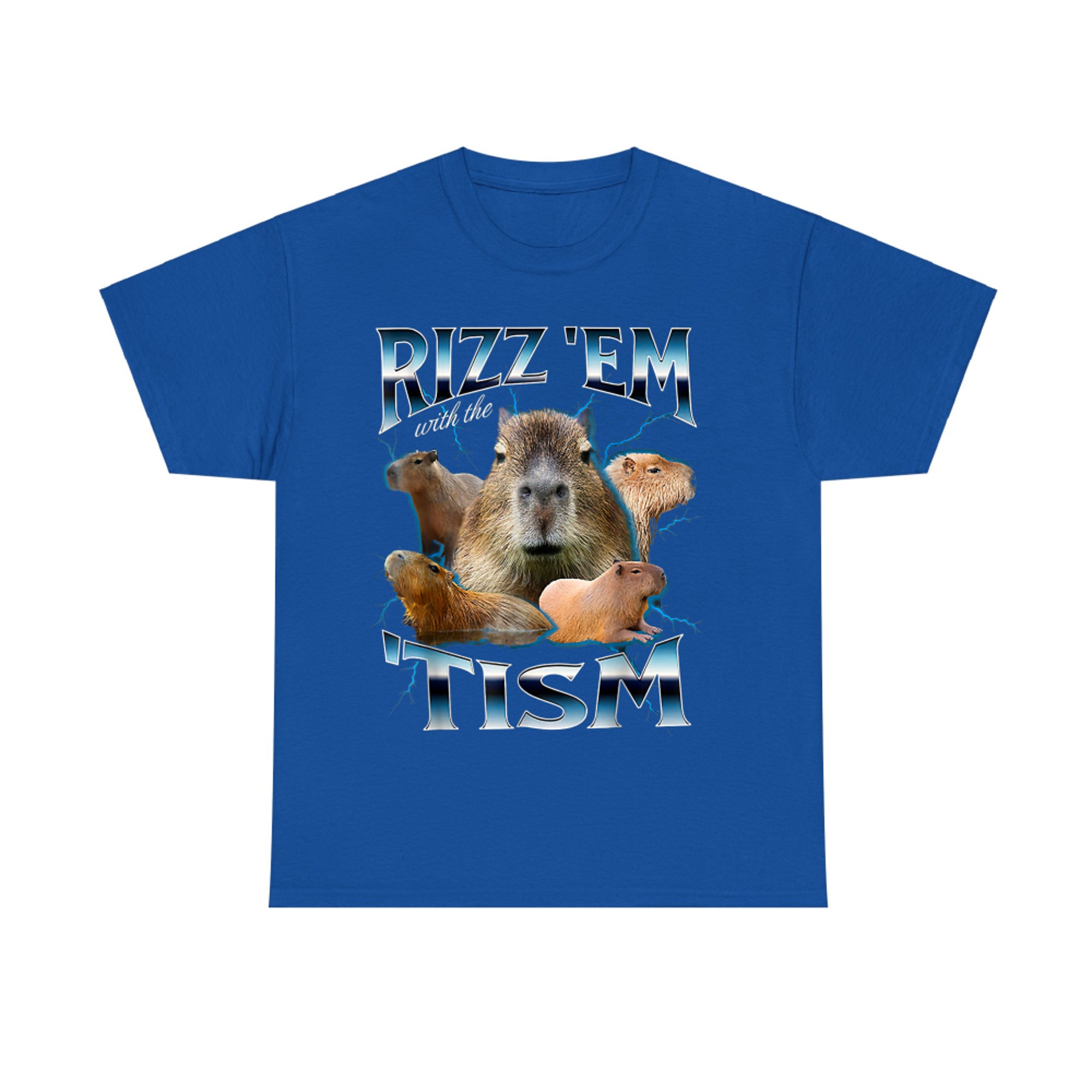 Rizz Em With The Tism Capybara Funny Oddly Dank Meme T-Shirt